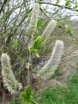 egboets_162x216_034.jpg