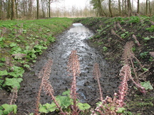 egboets_216x162_009.jpg