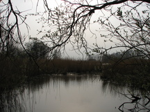 egboets_216x162_014.jpg