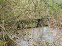 egboets_216x162_016.jpg