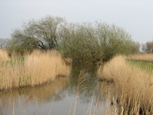 egboets_216x162_020.jpg