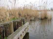 egboets_216x162_029.jpg
