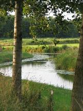 etten_162x216_001.jpg
