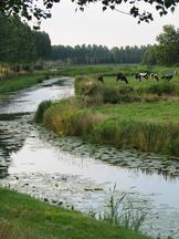 etten_162x216_006.jpg