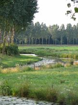 etten_162x216_010.jpg