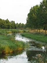 etten_162x216_015.jpg