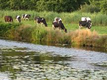 etten_216x162_007.jpg