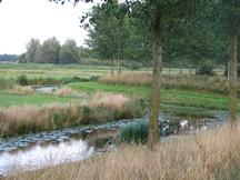 etten_216x162_020.jpg