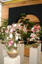 floriade_150x225_007.jpg