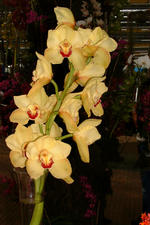 floriade_150x225_009.jpg