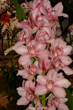 floriade_150x225_011.jpg