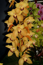 floriade_150x225_012.jpg