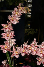 floriade_150x225_013.jpg