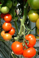floriade_150x225_020.jpg