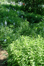 floriade_150x225_080.jpg