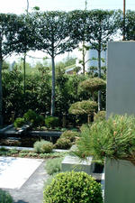 floriade_150x225_119.jpg