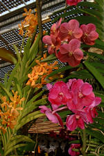 floriade_150x225_123.jpg