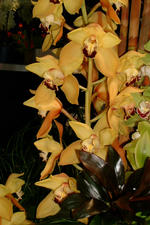 floriade_150x225_127.jpg