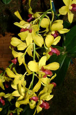 floriade_150x225_130.jpg