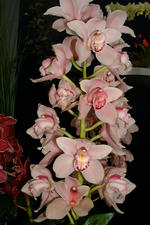 floriade_150x225_137.jpg