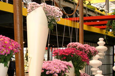 floriade_225x150_001.jpg
