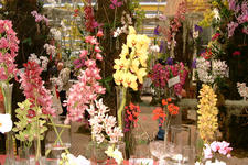 floriade_225x150_008.jpg
