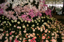 floriade_225x150_015.jpg