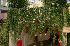 floriade_225x150_016.jpg