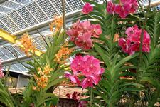 floriade_225x150_017.jpg