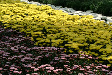 floriade_225x150_021.jpg