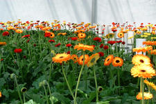 floriade_225x150_024.jpg