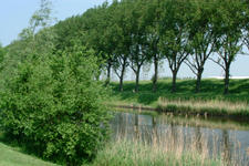 floriade_225x150_028.jpg