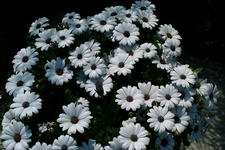 floriade_225x150_035.jpg