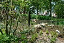 floriade_225x150_060.jpg