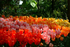 floriade_225x150_061.jpg