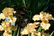 floriade_225x150_063.jpg
