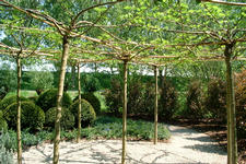 floriade_225x150_073.jpg