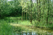 floriade_225x150_081.jpg