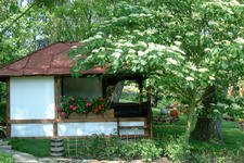 floriade_225x150_097.jpg
