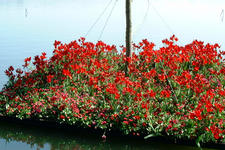 floriade_225x150_101.jpg