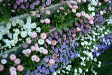 floriade_225x150_105.jpg