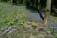floriade_225x150_106.jpg