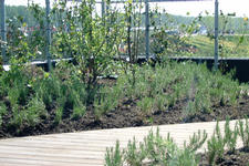 floriade_225x150_116.jpg