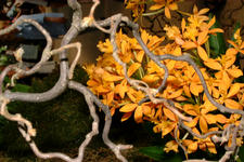 floriade_225x150_129.jpg