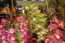 floriade_225x150_132.jpg
