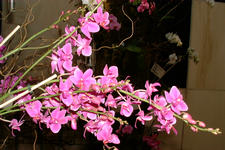 floriade_225x150_134.jpg