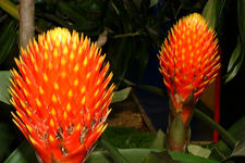 floriade_225x150_140.jpg