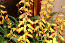 floriade_225x150_141.jpg