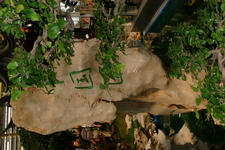floriade_225x150_144.jpg