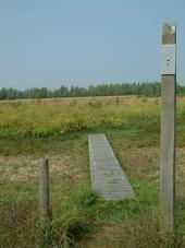gorzen_170x227_022.jpg